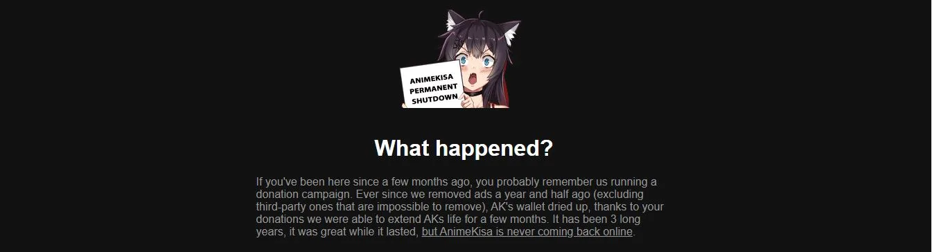 AnimeKisa explaining what happened