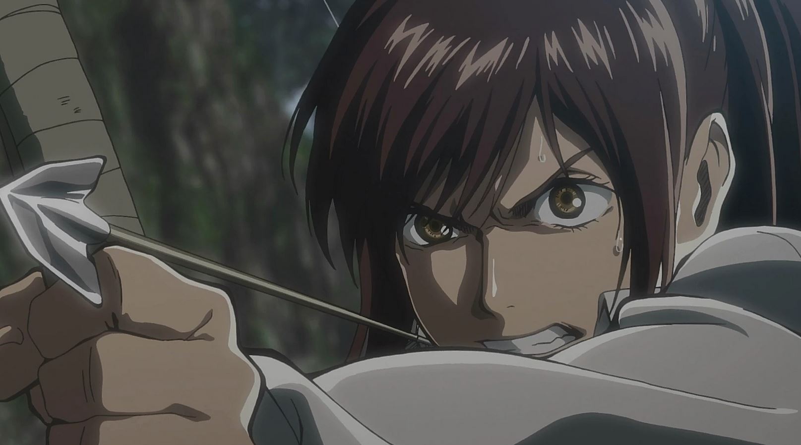 Sasha Braus, the best archer from AOT