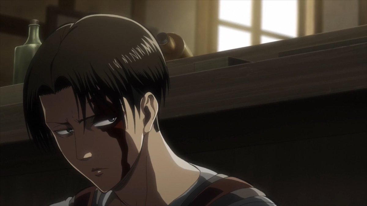 Levi is the squad captain of the Survey Corps' Special Operations Squad. 