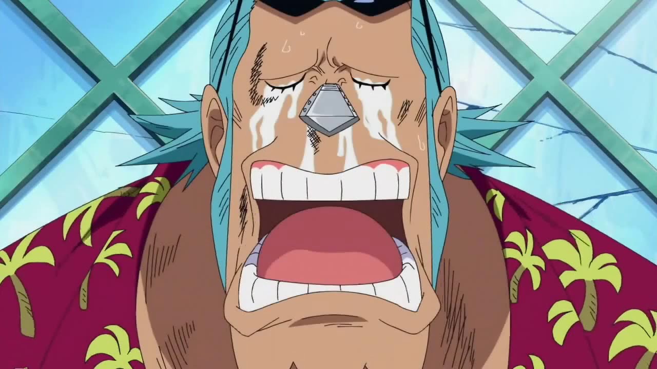 Franky was initially intended to be the Straw Hats' adversary in the Water 7 Arc but circumstances compelled them to form a partnership. 