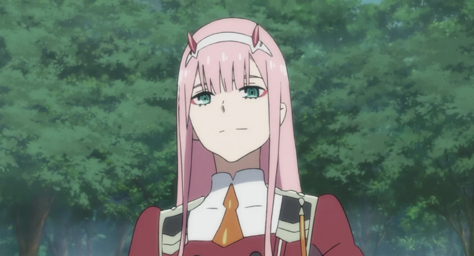 Zero from Darling In The Franxx is one of the most endearing waifu among fans